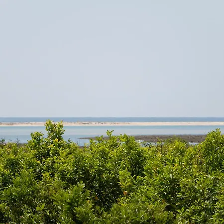Arco Da Barra 8 -10 People Ria Formosa Heart Villa Moncarapacho